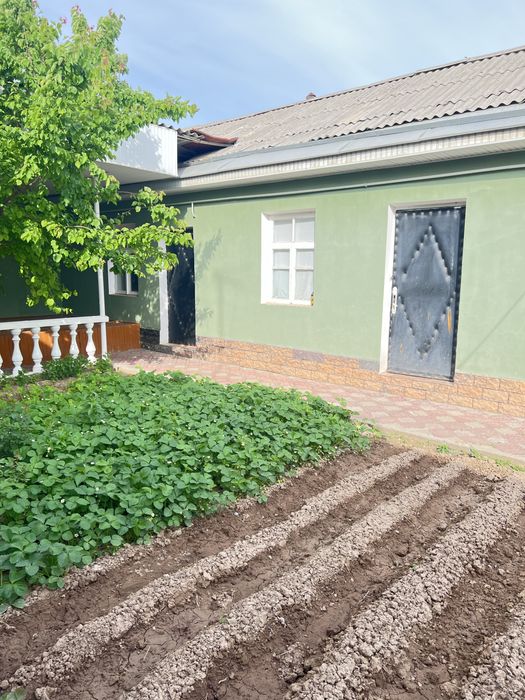 Чирчикда аранча ховли уй сотилади