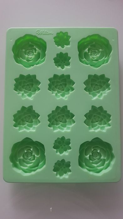 Matrite silicon 50 lei / buc