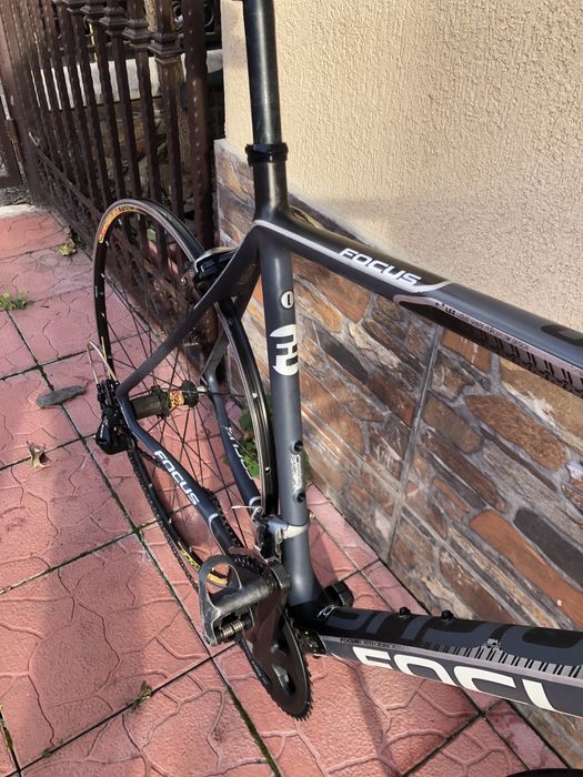 Semicursiera carbon Focus