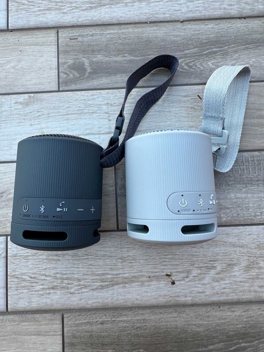 Bluetooth колонки Sony SRS-XB100B