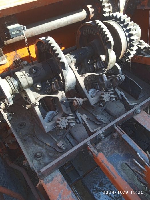 Piris afarati sotladi