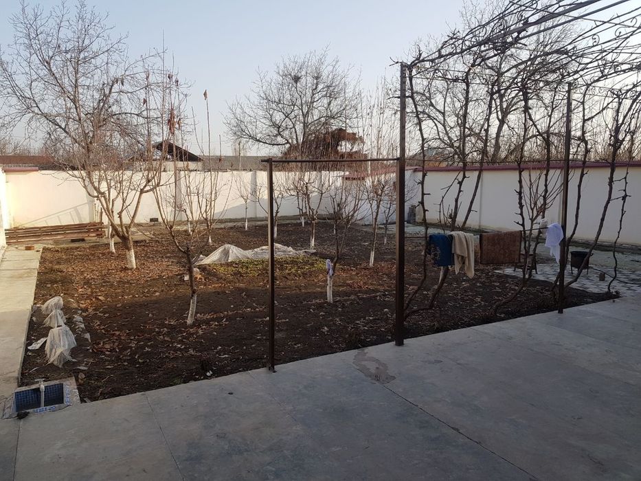 Kotej sotiladi 6 sotik