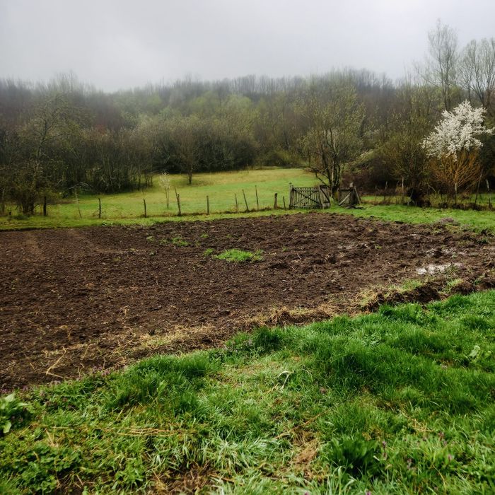 Casă și teren de vânzare