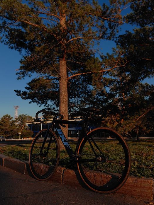 фикс не дорого целый