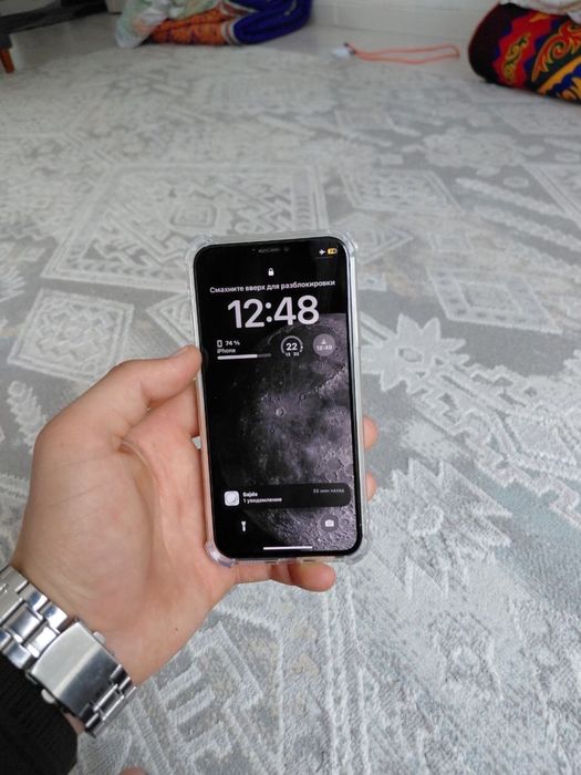 iPhone X 256/100%