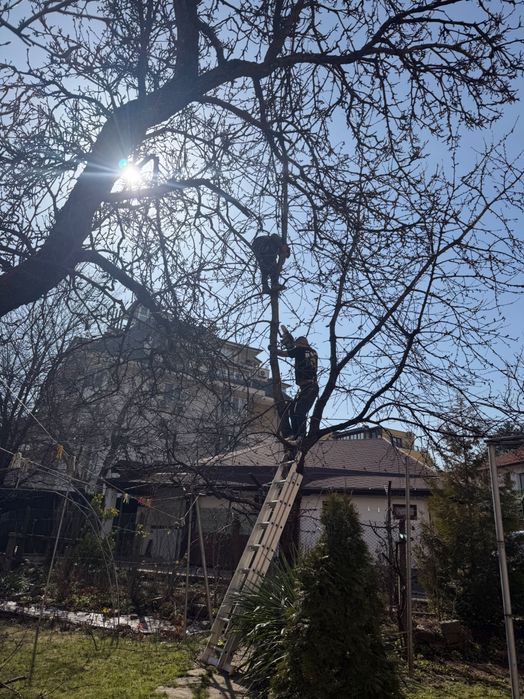 Почистване на дворове