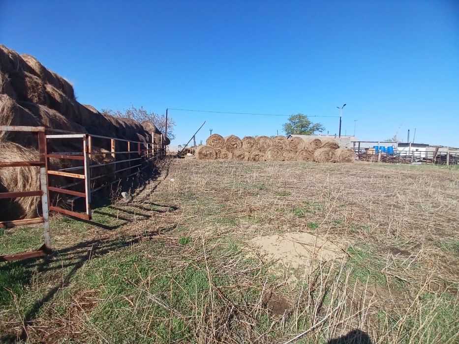 Продам КХ база дом баня