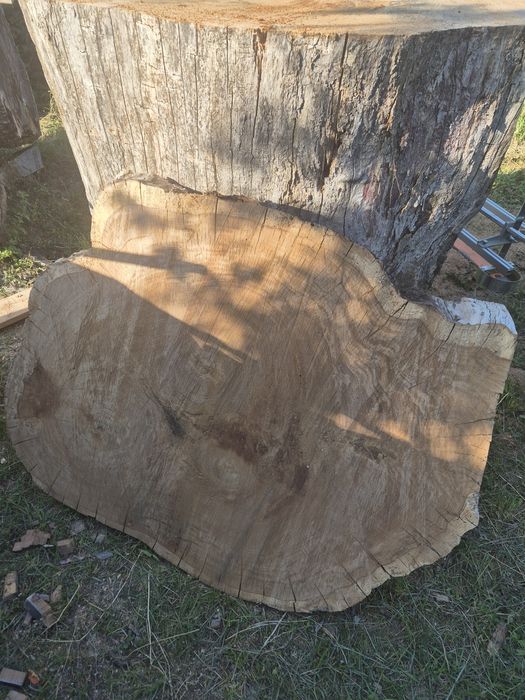 rondele(felii),blaturi stejar