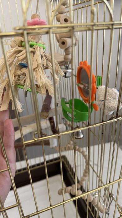 Клетка металл для птиц/попугая