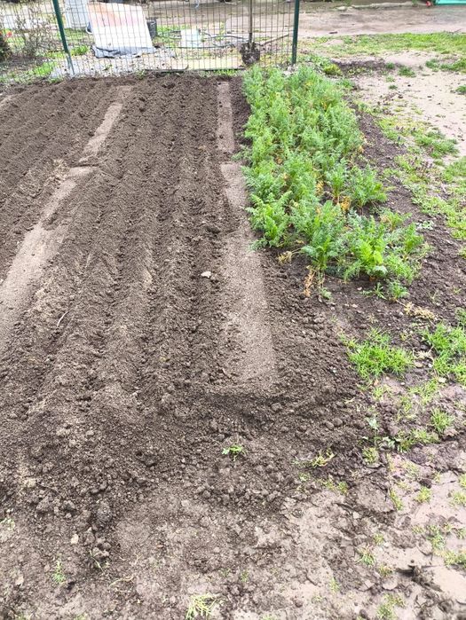 Amenajări peisagistice, gazon, pregătire teren