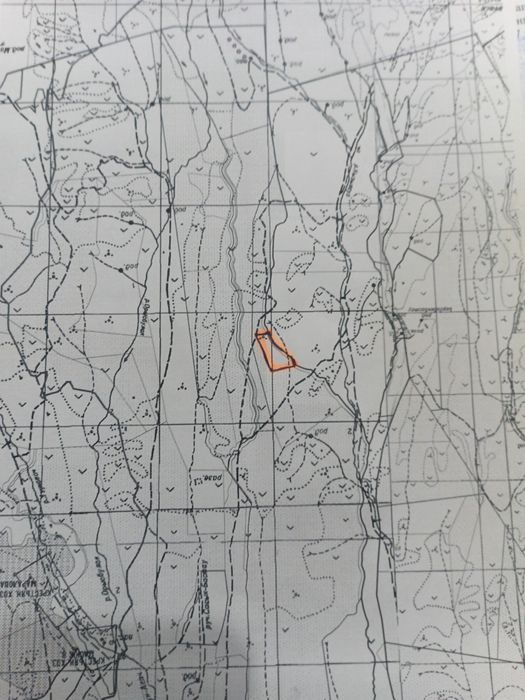 Участок 10 гектар