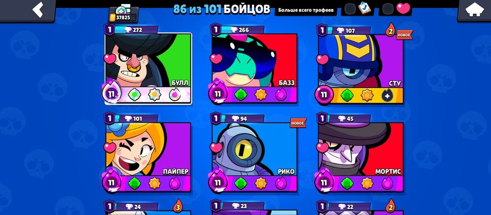 Бс акк шымкент жирный