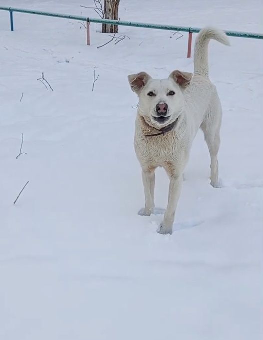 Потеряшка район Ивушка