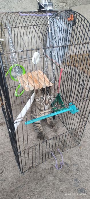 Клетка для попугая