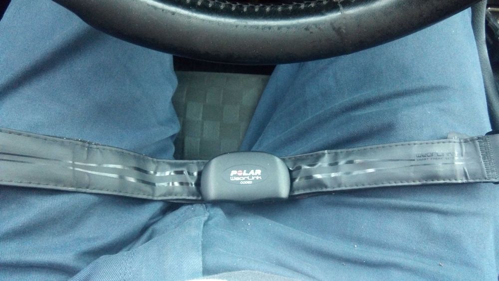 Centura Polar wearlink