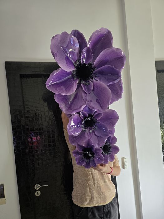 Flori mari din stiplex rezistente și spectaculoase