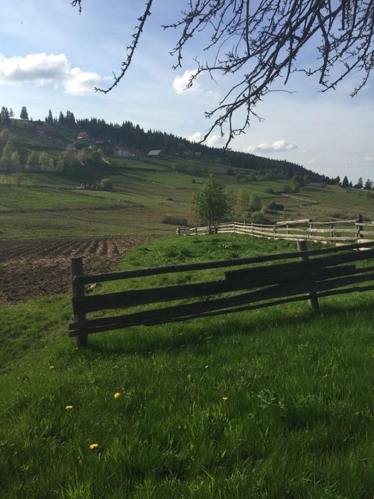 Teren de Vanzare in Marisel, CLUJ