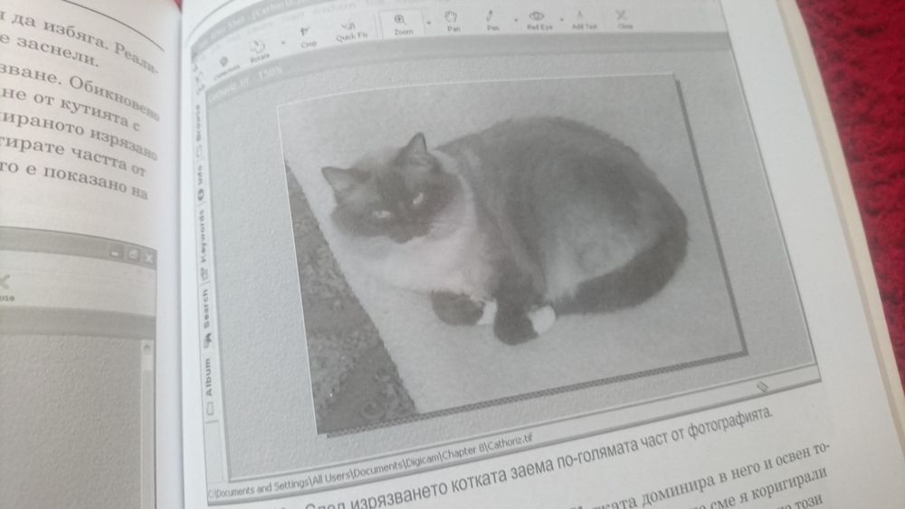 Учебник Цифрова фотографии