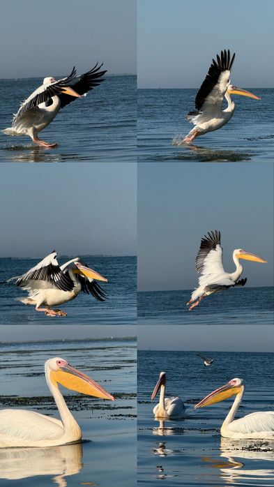 Cameră foto g3x cu obiectiv Canon zoom lens 25x1s