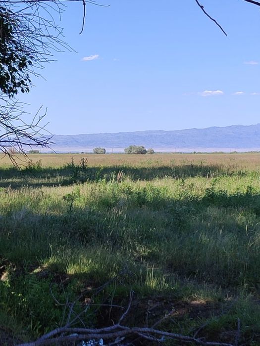 Продам Участок КХ 69га