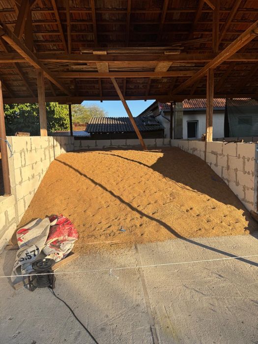 Vand porumb si grau asigur transport