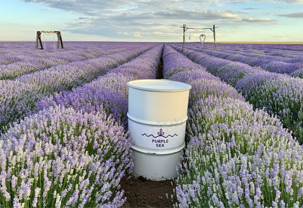 БИО етерично МАСЛО от ЛАВАНДУЛА , лавандулово масло