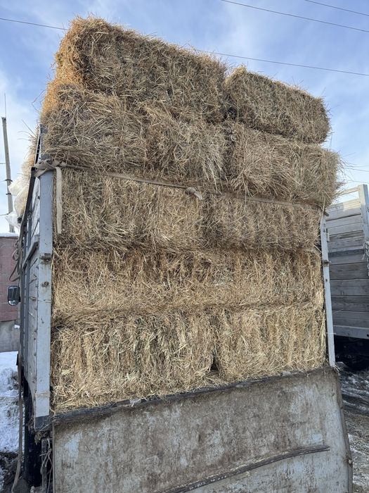 шөп прес пресс пшен