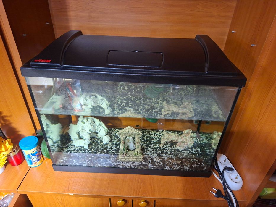 Acvariu Eheim 84L ( 60x40x35 cm ) aquaproled 84