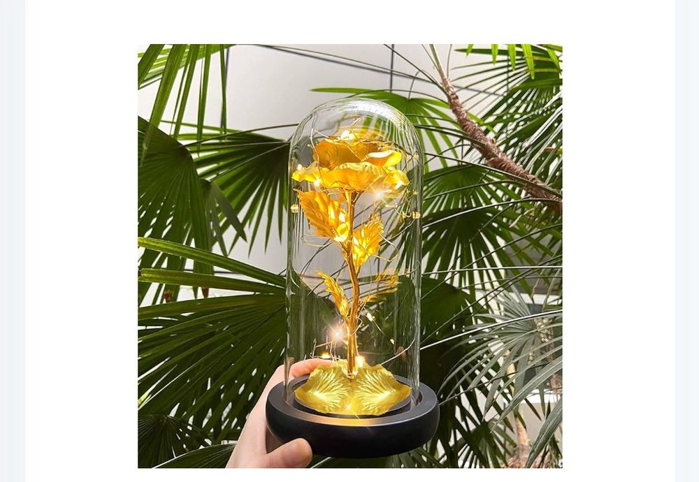 Вечно цветв роза