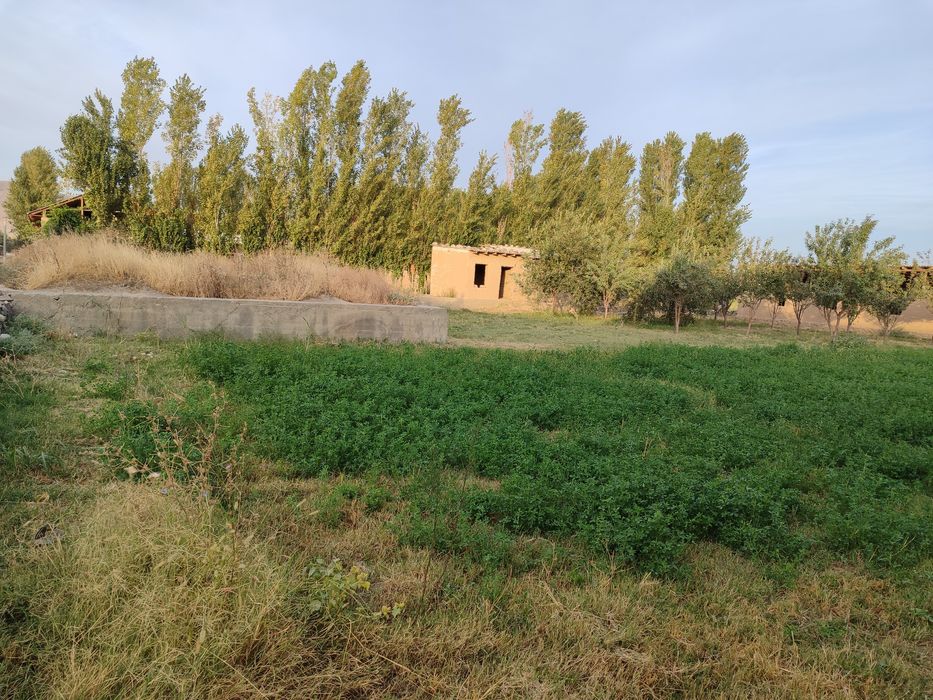 Джиззах вилояти Ш. Рашидов туман Куебошда Участка сотилади