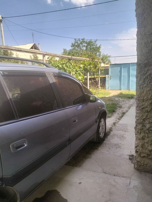 Дом на Шубарсу 12 соток