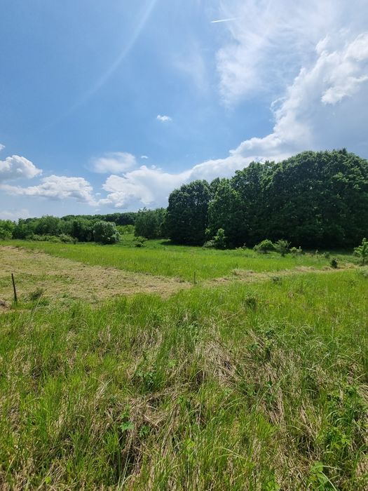 Parcele teren Hintesti