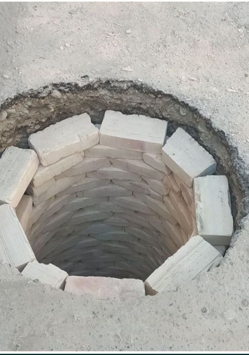 Kalodis qaziymiz minarshaklida.