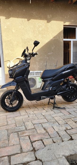 Wassat sport tank electro