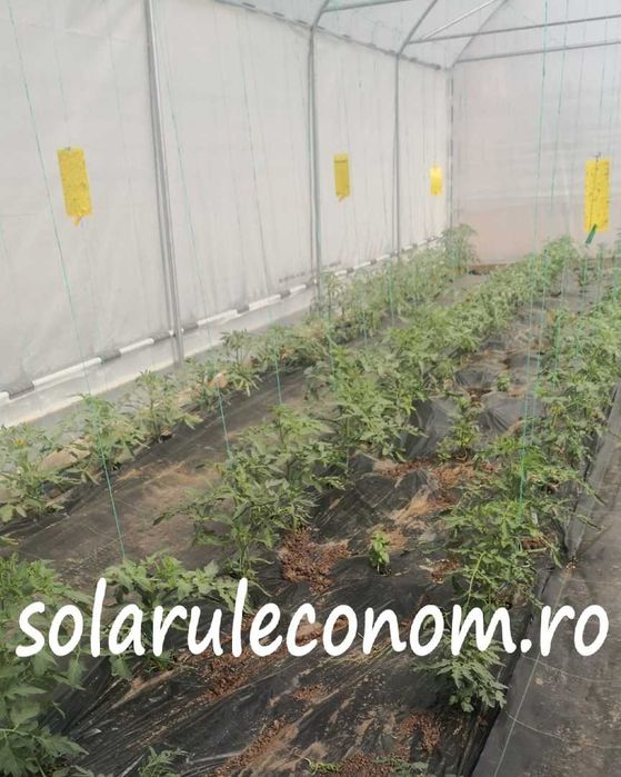 Solarii (sere) de gradina complete, pregatite pentru montaj