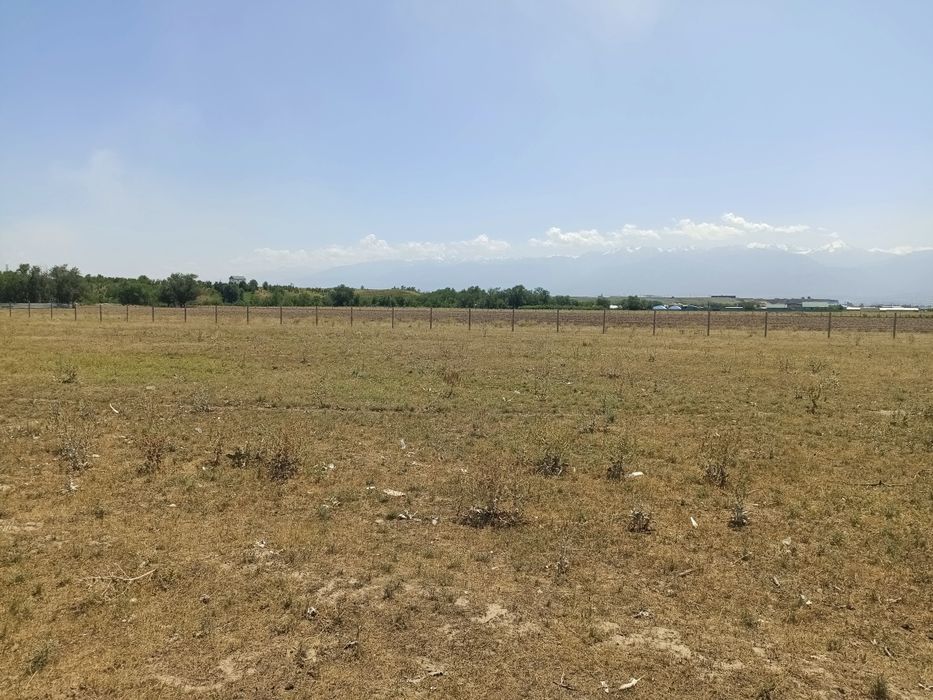 Участок 8 гектаров