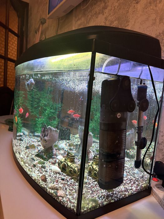 Продам аквариум