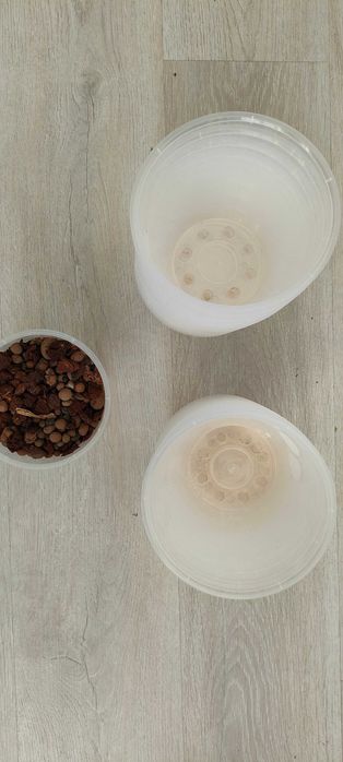 Ghivece orhidee (24 buc.)