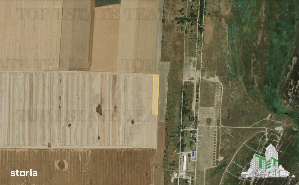 Teren extravilan 5000 mp Corbu, cu deschidere pe 3 laturi