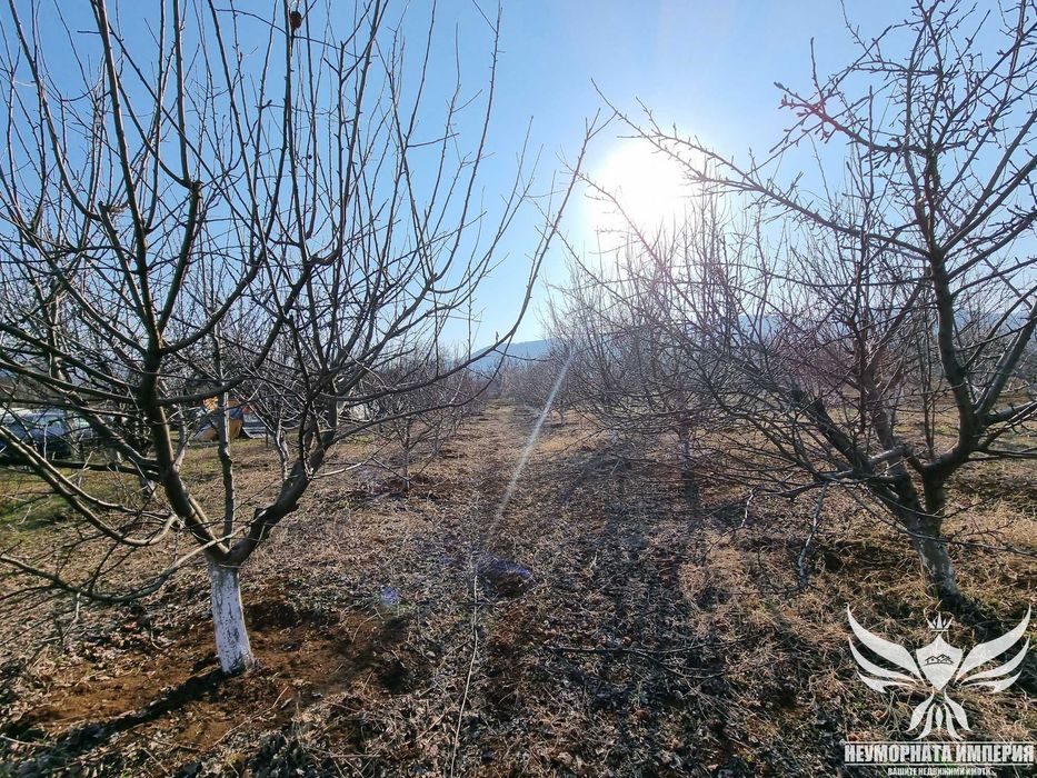 Продавам овощна градина 5421кв.м. в село Долнослав общ.Асеновград