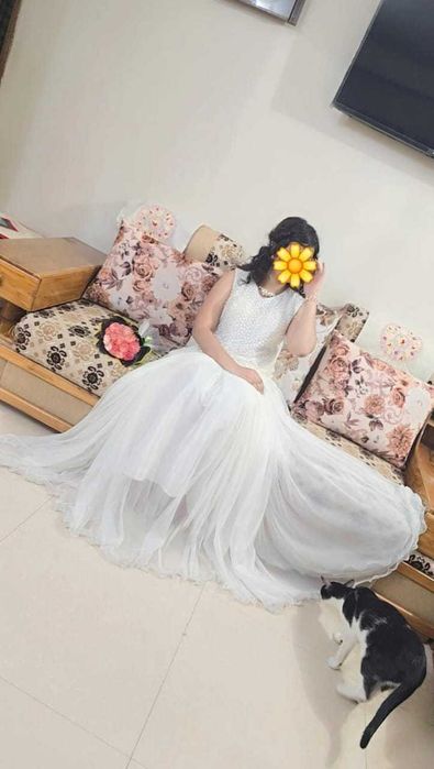 Samsung s24 ultra pro