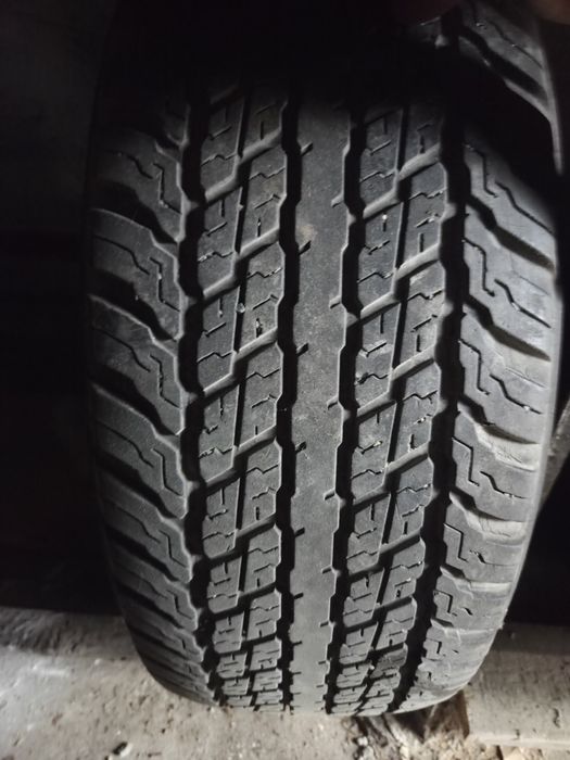 Резина с диском Р18