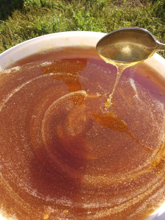 Мёд 2025года !!! С доставкой.