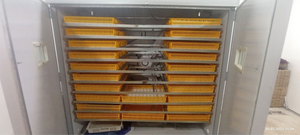Инкубатор  5000штук