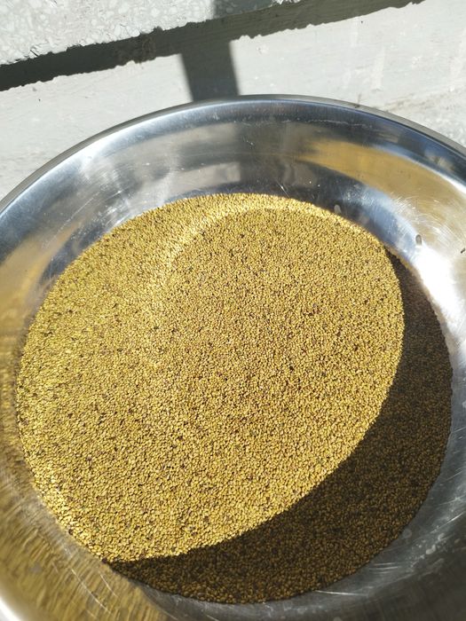 Продавам люцерново семе декускутирано отлично