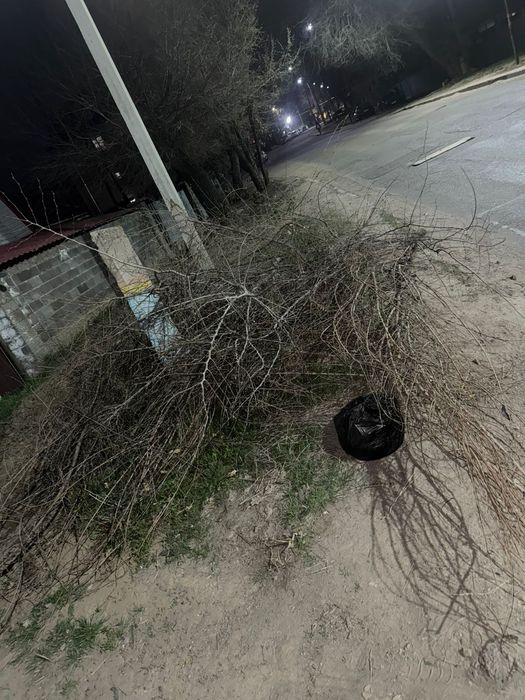 Отдам ветки для топки бани