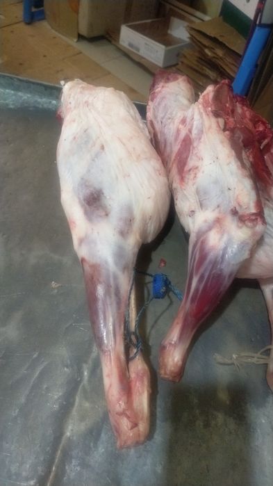 Біле берсін, бәрібір ол ештеңені есіне түсірмейді.