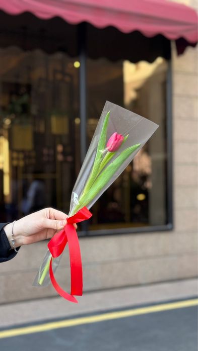 Голландские тюльпаны оптом к 8 Марта