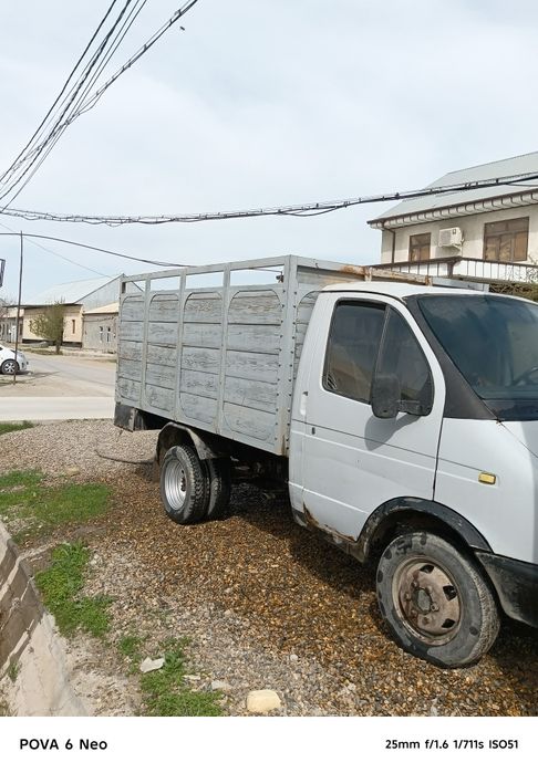 Gazel seriy holati yacshi