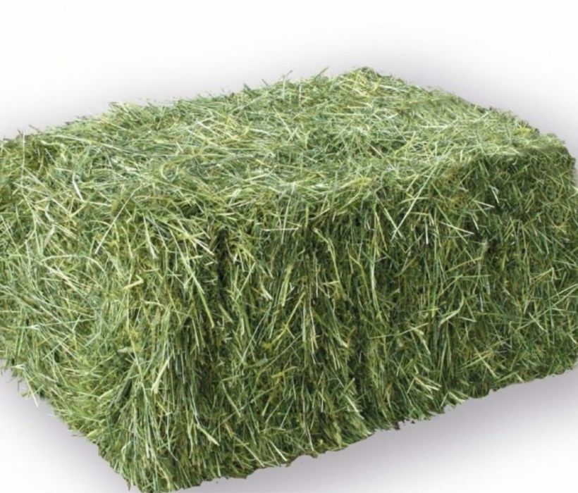 Продам сено в тюках